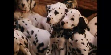 The ultimate guide to: 101 Dalmatians