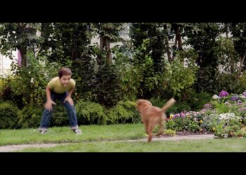 The story of one devoted dog who finds the meaning of his own existence through the lives of the humans he teaches to laugh and love.