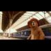 A young English boy befriends a talking bear he finds at a London train station. A live-action feature based on the series of popular children's books by Michael Bond.