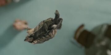 When Words Come Alive: Billy and Buddy