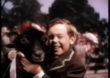 This heartwarming classic tells the tale of a country boy who adopts a mischevious black lamb and learns valuable lessons about love and dedication.