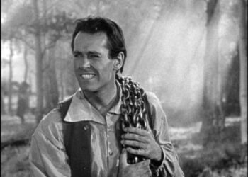 Drums Along the Mohawk: Book vs. Film - Summary & Analysis