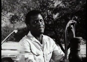 Lilies of the Field: Book vs. Film - Summary & Analysis