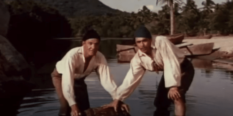 Enchanted Island: Book vs. Film - Summary & Analysis