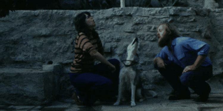 Sleeping Dogs (Never Lie): Book vs. Film - Summary & Analysis