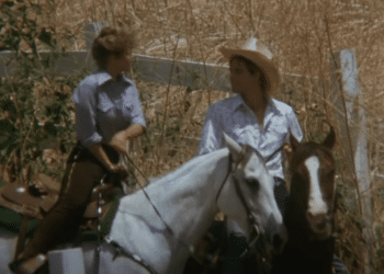 When Words Come Alive: Summer of Fear