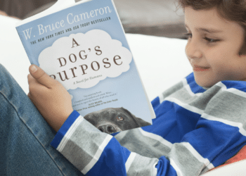 Exploring the Cinematic World of W. Bruce Cameron