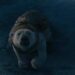 The Golden Compass: Book vs. Film - Summary & Analysis