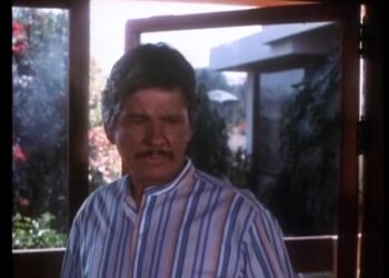 A professional killer comes out of retirement to investigate and avenge the brutal murder of an old friend.