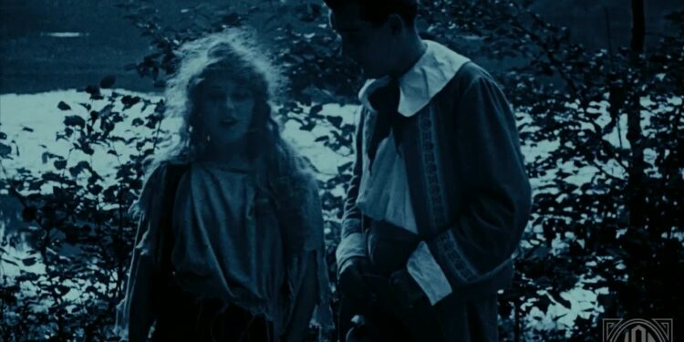 Fanchon, the Cricket: Book vs. Film - Summary & Analysis