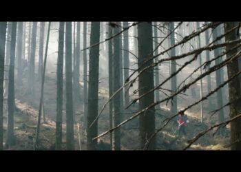 The Girl in the Fog: Book vs. Film - Summary & Analysis