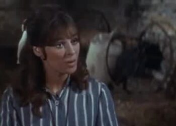 Far from the Madding Crowd: Book vs. Film - Summary & Analysis