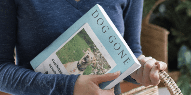 Exploring the Cinematic World of Pauls Toutonghi