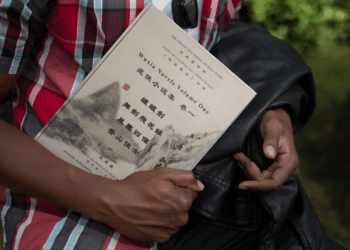 Exploring the Cinematic World of Wang Dulu