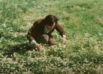 Four Nights of a Dreamer: Book vs. Film - Summary & Analysis