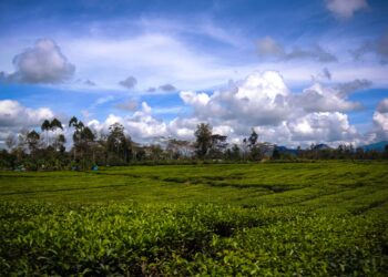 Explore Papua New Guinea's Filming Locations