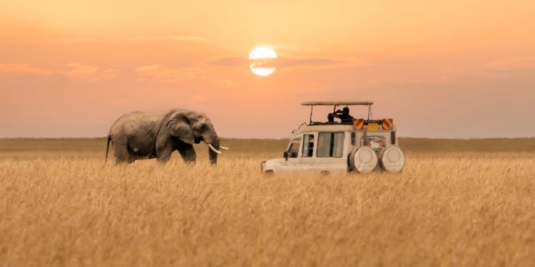Explore Africa's Filming Locations