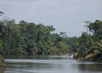Explore Gabon's Filming Locations