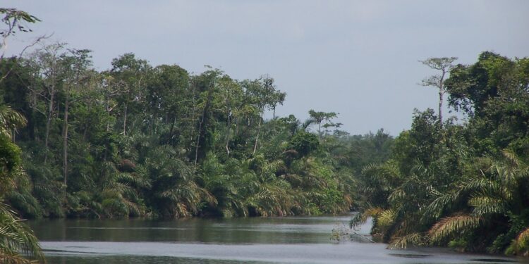 Explore Gabon's Filming Locations