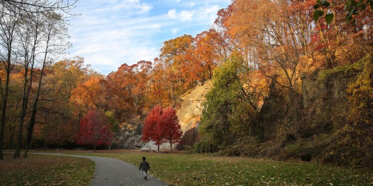 Explore Delaware's Filming Locations
