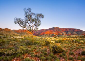 Explore australian outback's Filming Locations