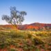 Explore australian outback's Filming Locations