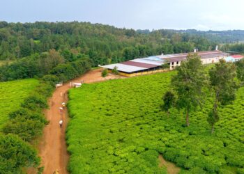 Explore Gitega's Filming Locations