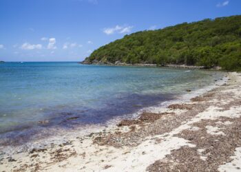 Explore Saint John's's Filming Locations