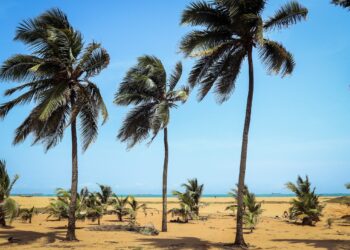 Explore Togo's Filming Locations