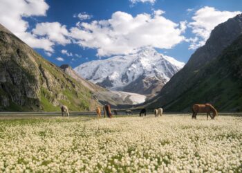 Explore Kyrgyzstan's Filming Locations