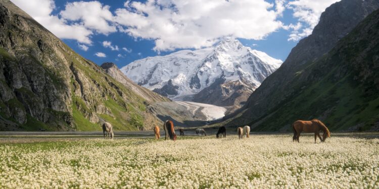 Explore Kyrgyzstan's Filming Locations