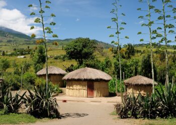 Explore Dodoma's Filming Locations