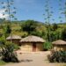 Explore Dodoma's Filming Locations