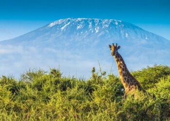 Explore Tanzania's Filming Locations