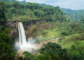 Explore Cameroon's Filming Locations