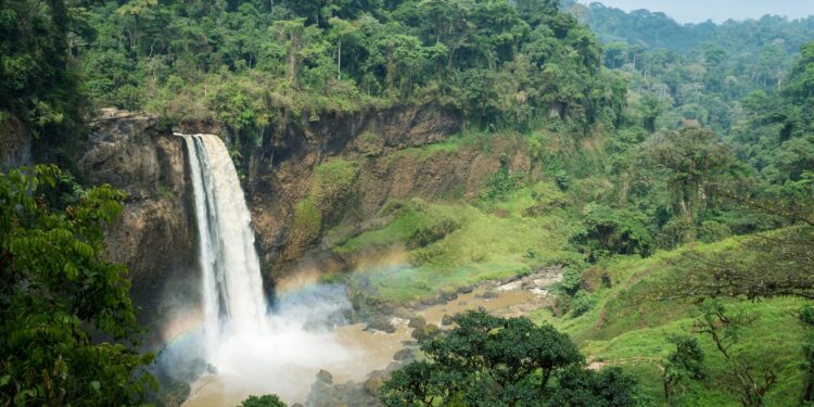 Explore Cameroon's Filming Locations
