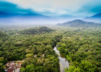 Explore amazon jungle's Filming Locations