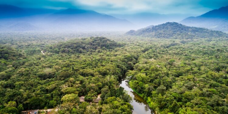 Explore amazon jungle's Filming Locations