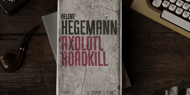 Exploring the Cinematic World of Helene Hegemann