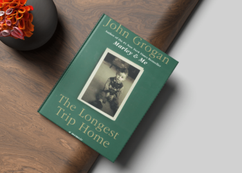 Exploring the Cinematic World of John Grogan