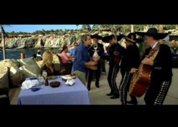 The Heartbreak Kid: Book vs. Film - Summary & Analysis