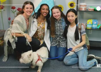 Ponysitters Club: Book vs. TV Series - Summary & Analysis