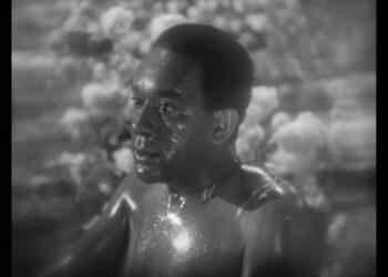 When Words Come Alive: Native Son (1986)