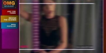 Famous in Love: Book vs. TV Series - Summary & Analysis