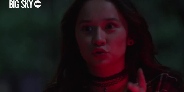 Big Sky: Book vs. TV Series - Summary & Analysis