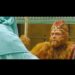 The Monkey King 2: Book vs. Film - Summary & Analysis