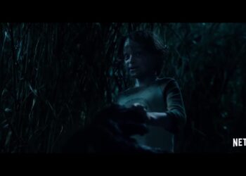 In the Tall Grass: Book vs. Film - Summary & Analysis
