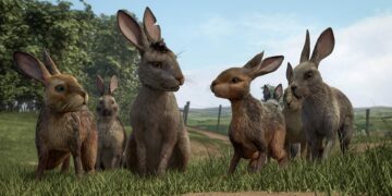 Watership Down: Book vs. TV Series - Summary & Analysis