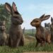 Watership Down: Book vs. TV Series - Summary & Analysis