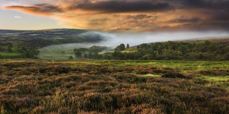Dawn mist over the North York Moors national park shot in autumn (fall) when the heather is in full bloom near the village of Goathland, north Yorkshire, UK.